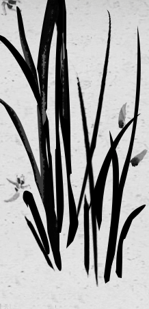 ������� ��������ߺ��°� �������Ǯ�� ������ֺ���